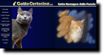 ALTAIR PROGETTO SRL
